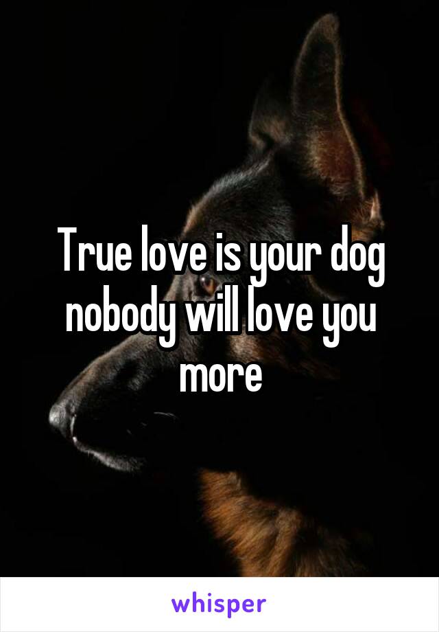 True love is your dog nobody will love you more