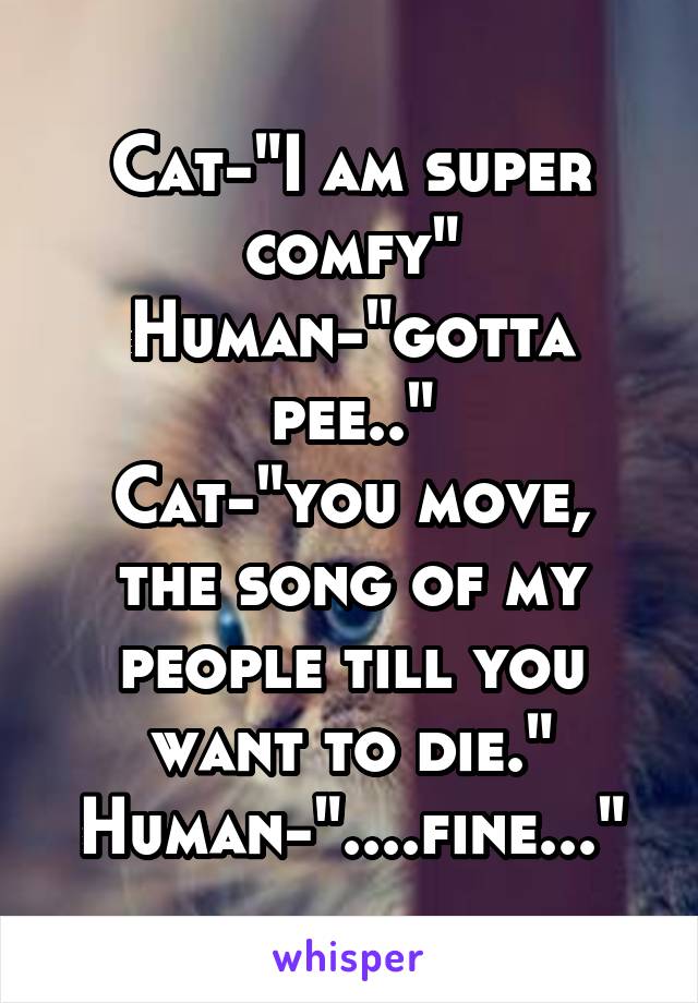 Cat-"I am super comfy"
Human-"gotta pee.."
Cat-"you move, the song of my people till you want to die."
Human-"....fine..."