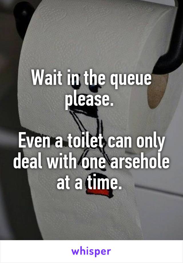 Wait in the queue please. 

Even a toilet can only deal with one arsehole at a time. 