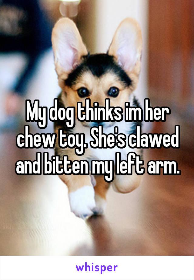 My dog thinks im her chew toy. She's clawed and bitten my left arm.