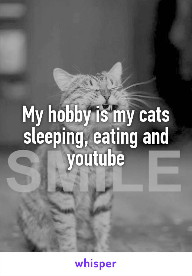 My hobby is my cats sleeping, eating and youtube