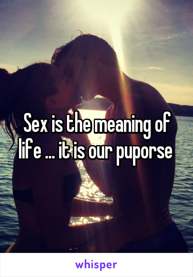 Sex is the meaning of life ... it is our puporse 