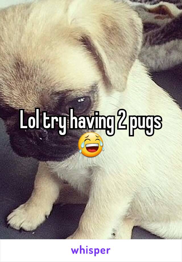 Lol try having 2 pugs 😂