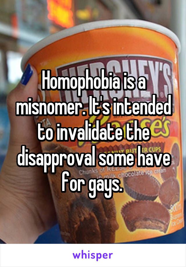 Homophobia is a misnomer. It's intended to invalidate the disapproval some have for gays. 