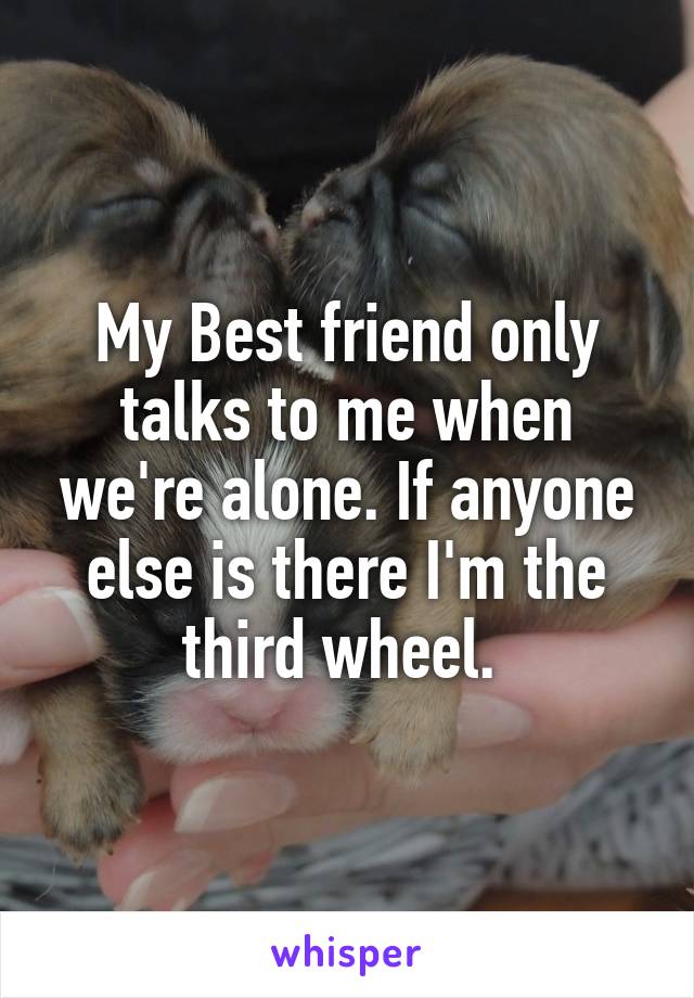 My Best friend only talks to me when we're alone. If anyone else is there I'm the third wheel. 