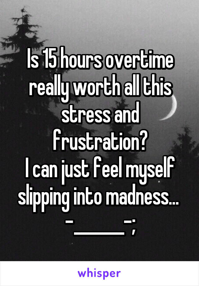 Is 15 hours overtime really worth all this stress and frustration?
I can just feel myself slipping into madness... 
-_______-;