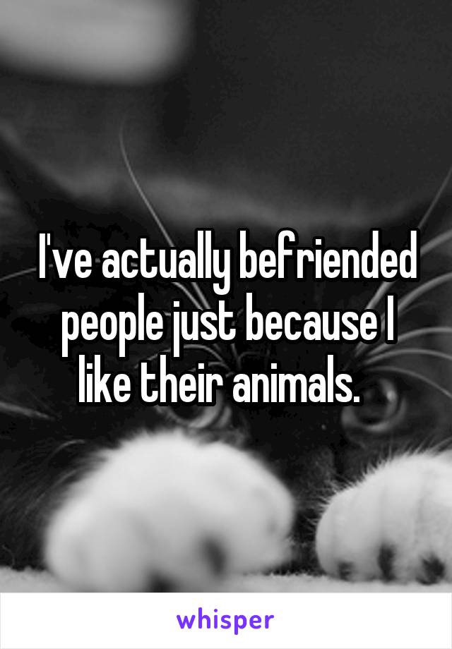 I've actually befriended people just because I like their animals.  