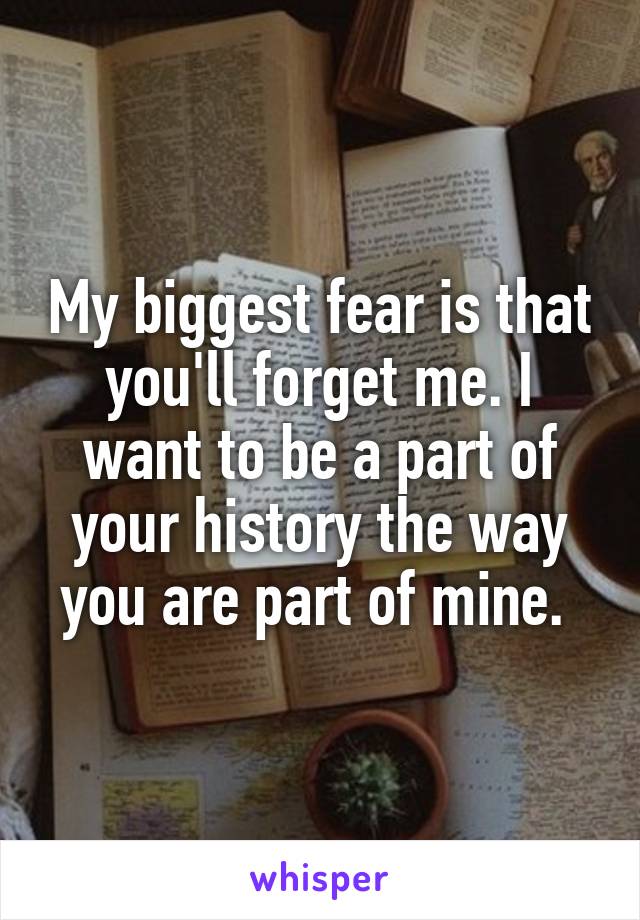 My biggest fear is that you'll forget me. I want to be a part of your history the way you are part of mine. 