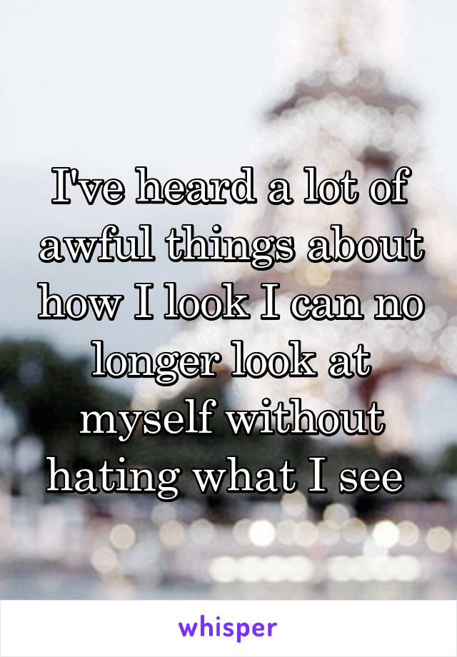 I've heard a lot of awful things about how I look I can no longer look at myself without hating what I see 