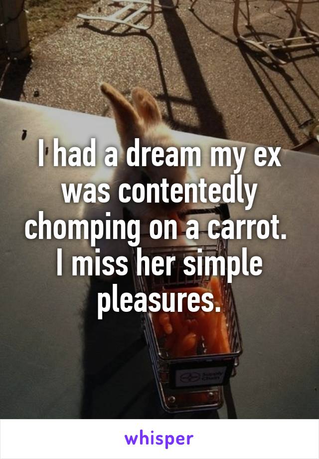 I had a dream my ex was contentedly chomping on a carrot.  I miss her simple pleasures.