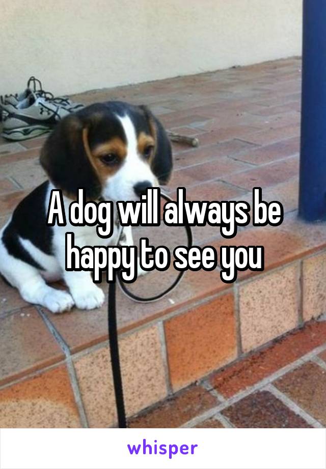 A dog will always be happy to see you