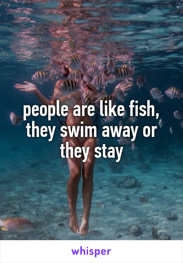 people are like fish, they swim away or they stay