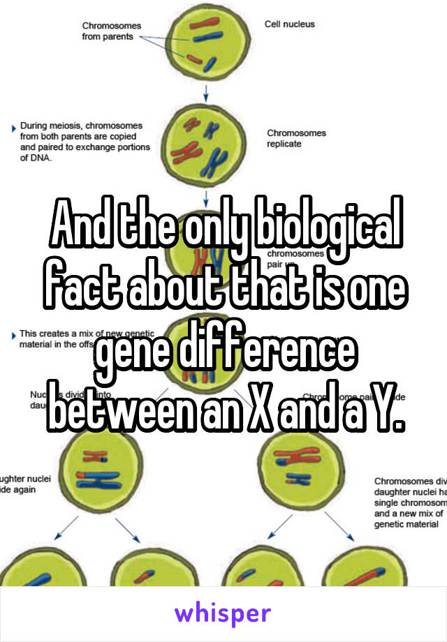 And the only biological fact about that is one gene difference between an X and a Y.