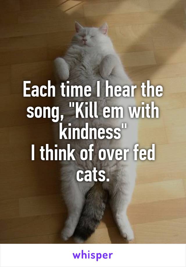 Each time I hear the song, "Kill em with kindness"
I think of over fed cats.