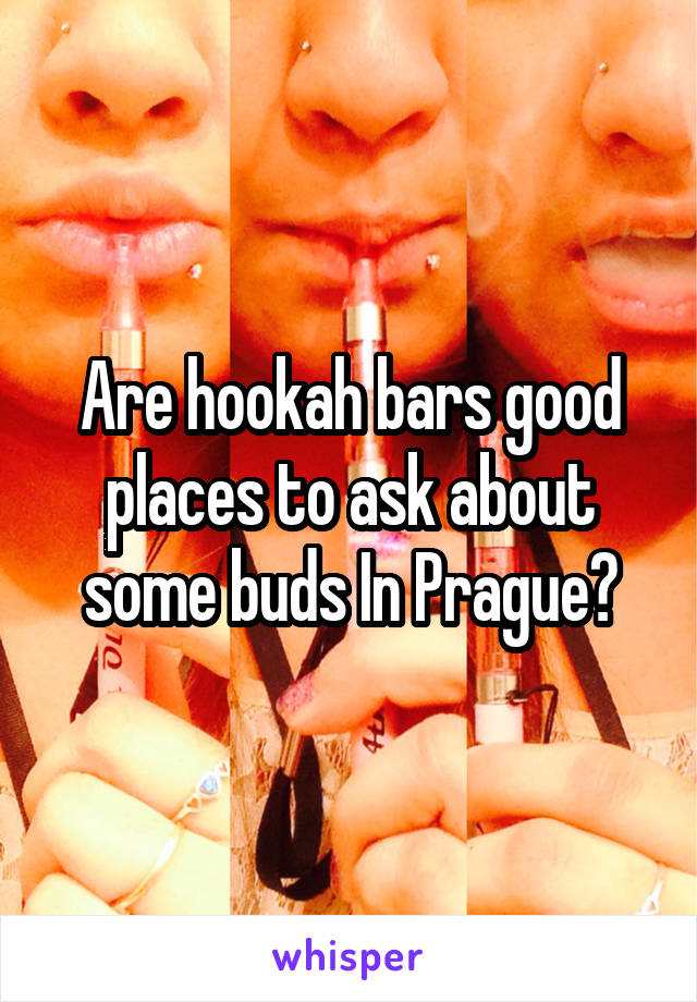 Are hookah bars good places to ask about some buds In Prague?