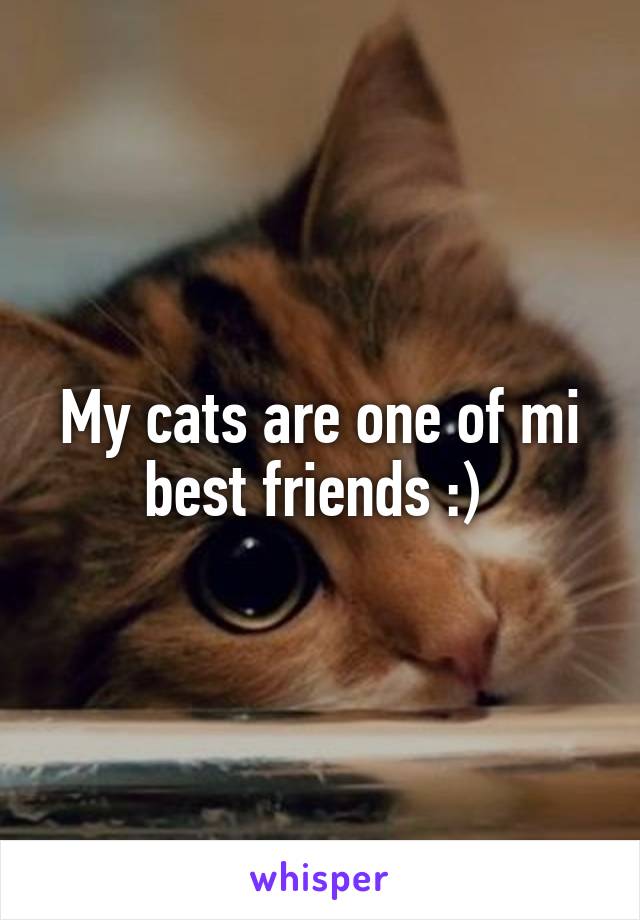 My cats are one of mi best friends :) 