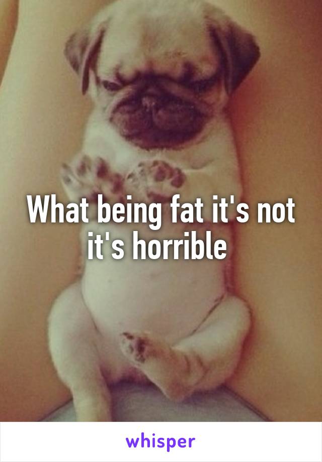 What being fat it's not it's horrible 