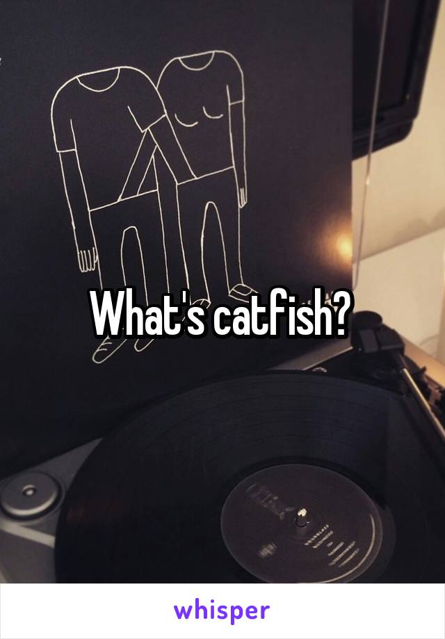 What's catfish? 