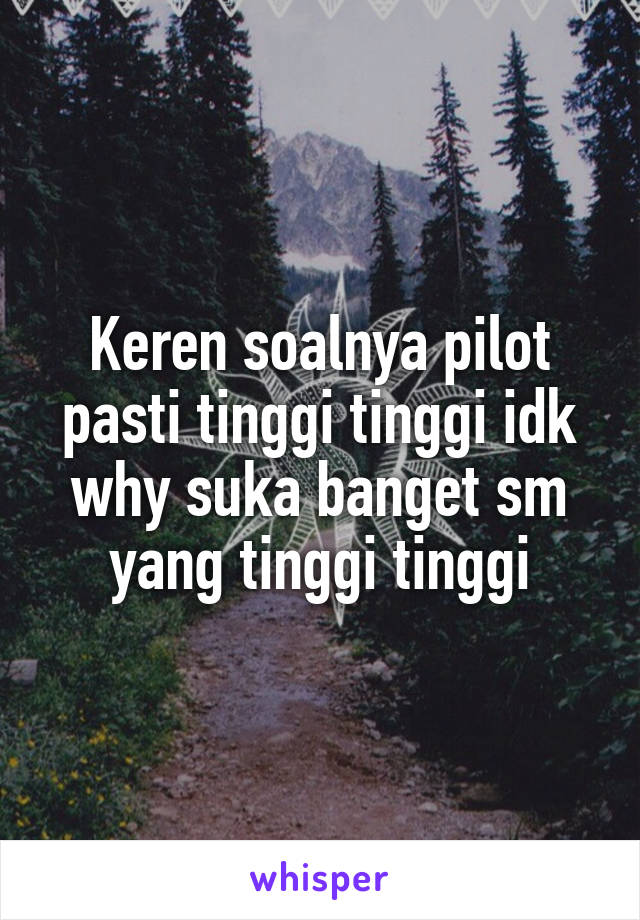 Keren soalnya pilot pasti tinggi tinggi idk why suka banget sm yang tinggi tinggi