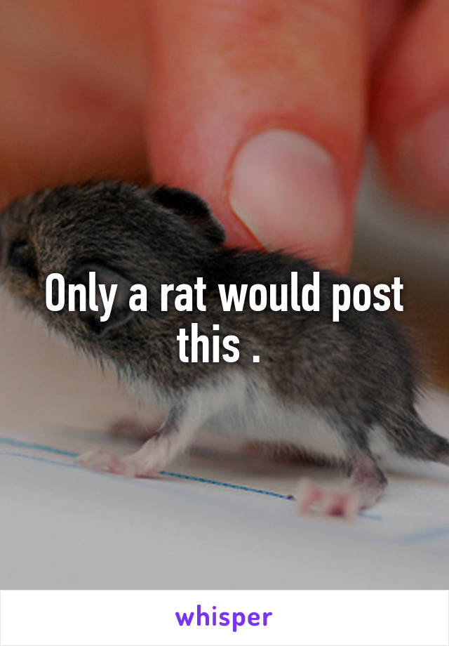 Only a rat would post this . 