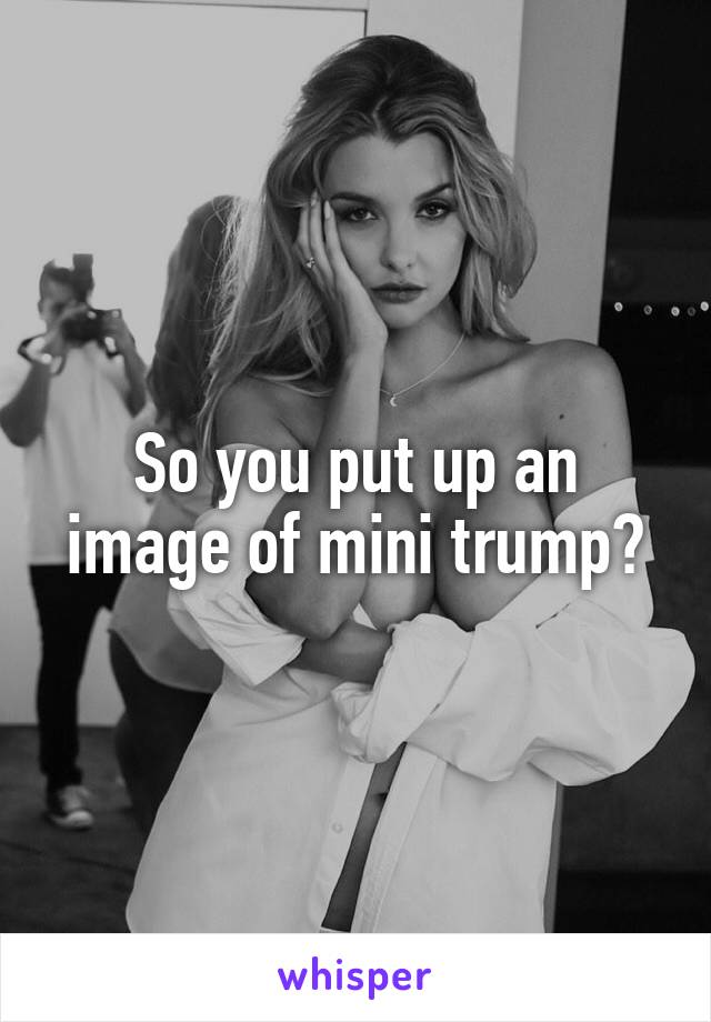 So you put up an image of mini trump?