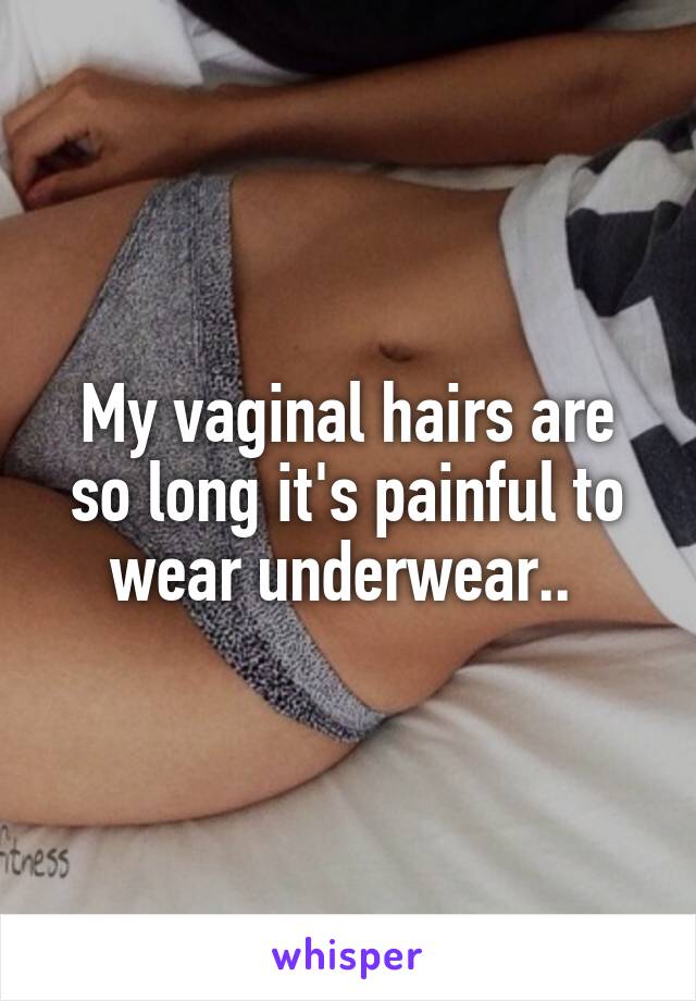 My vaginal hairs are so long it's painful to wear underwear.. 