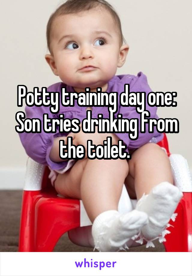 Potty training day one: Son tries drinking from the toilet. 
