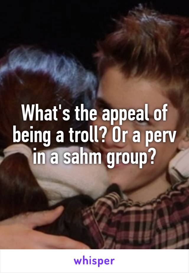 What's the appeal of being a troll? Or a perv in a sahm group?