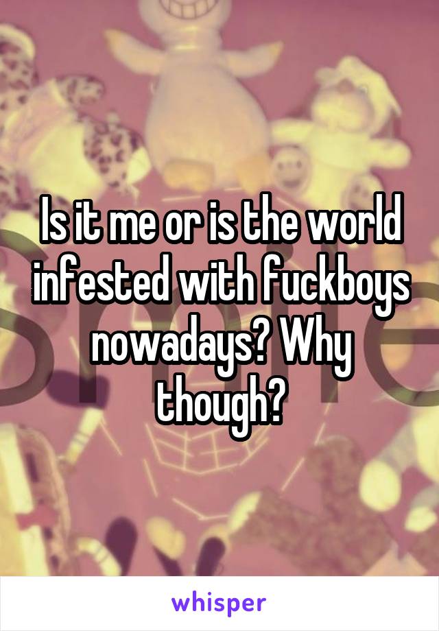 Is it me or is the world infested with fuckboys nowadays? Why though?