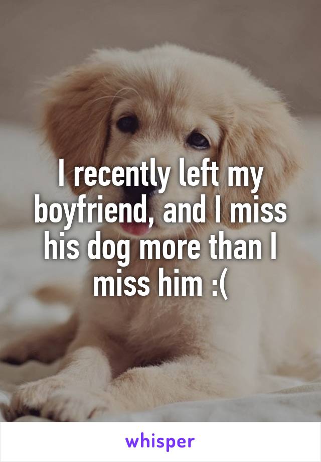 I recently left my boyfriend, and I miss his dog more than I miss him :(