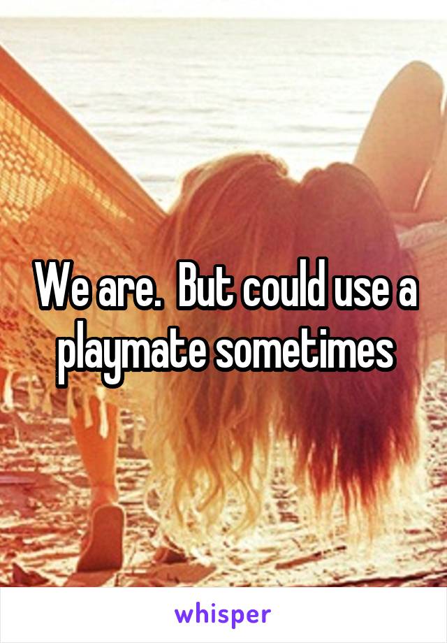 We are.  But could use a playmate sometimes