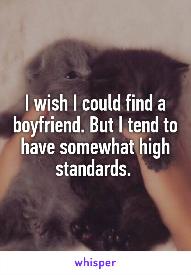 I wish I could find a boyfriend. But I tend to have somewhat high standards. 