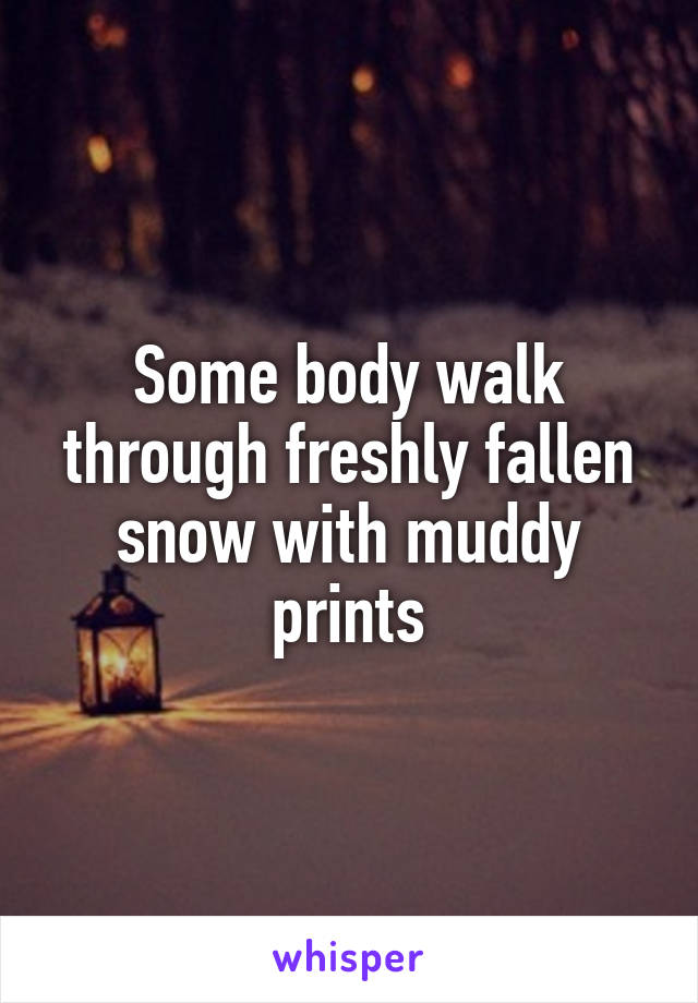 Some body walk through freshly fallen snow with muddy prints