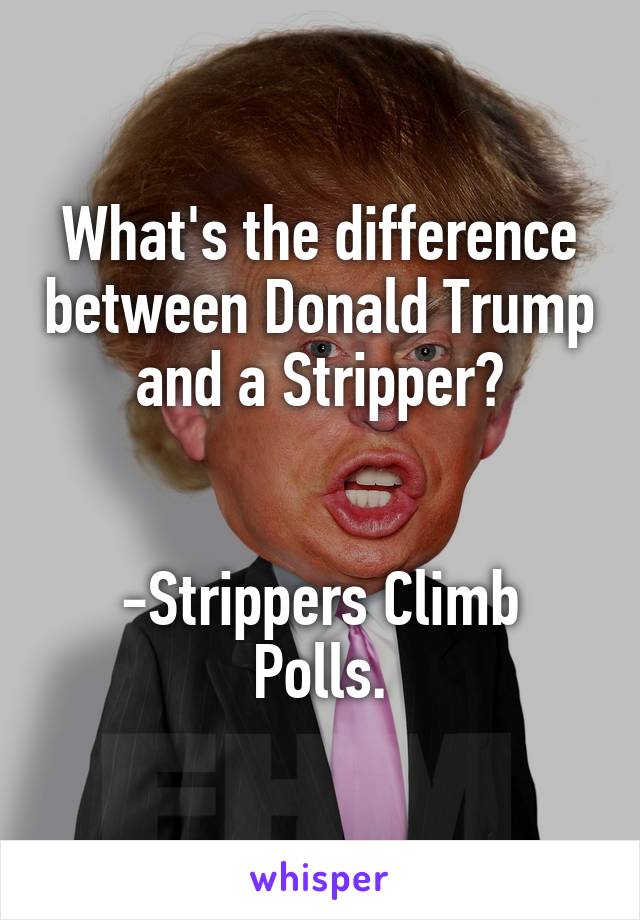 What's the difference between Donald Trump and a Stripper?


-Strippers Climb Polls.