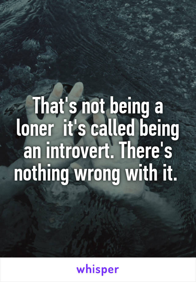 That's not being a loner  it's called being an introvert. There's nothing wrong with it. 