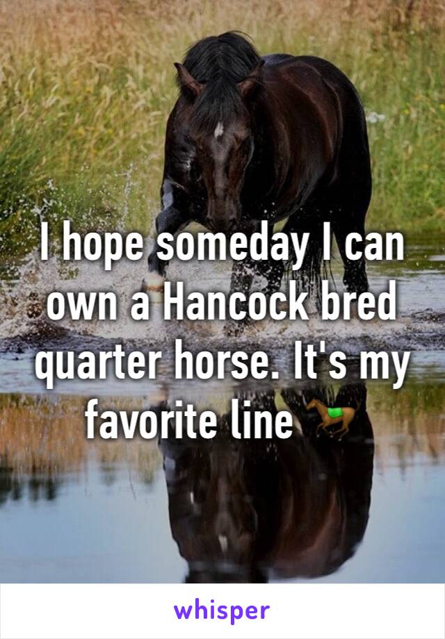 I hope someday I can own a Hancock bred quarter horse. It's my favorite line 🐎