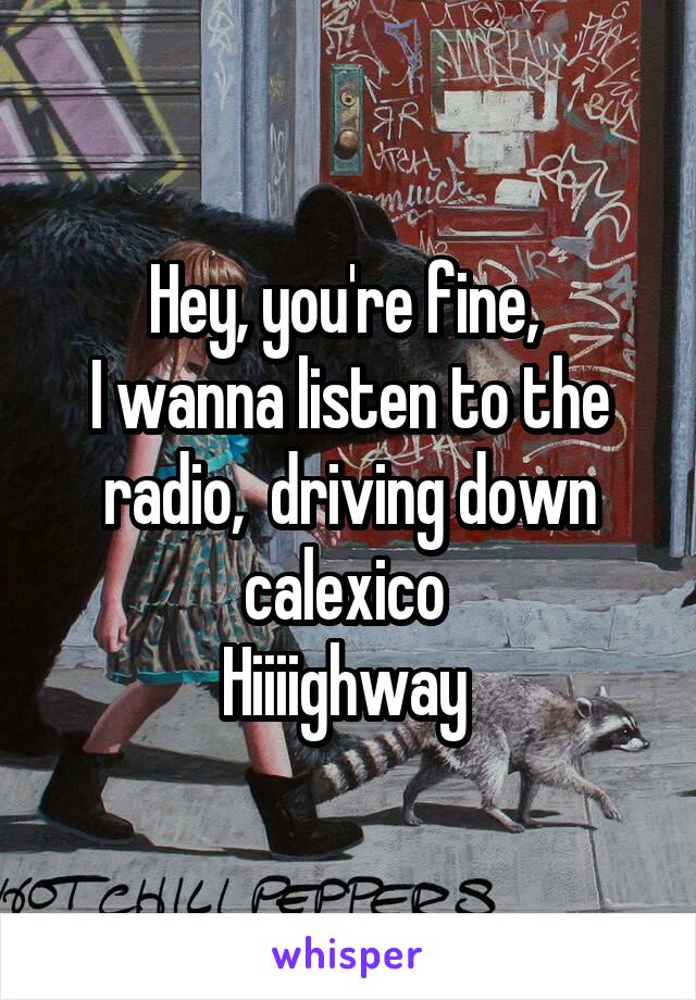 Hey, you're fine, 
I wanna listen to the radio,  driving down calexico 
Hiiiighway 