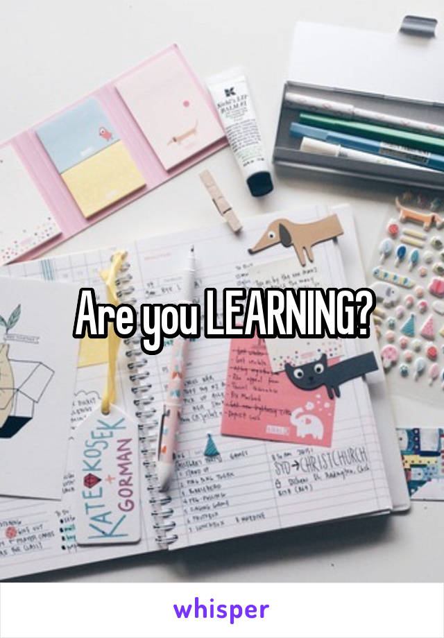 Are you LEARNING?