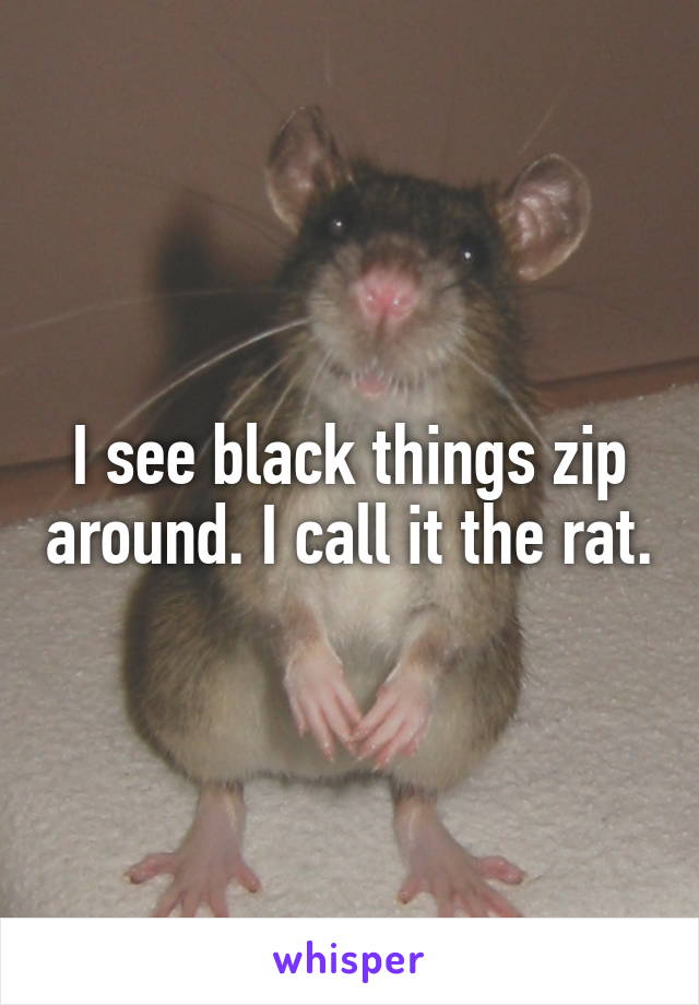 I see black things zip around. I call it the rat.