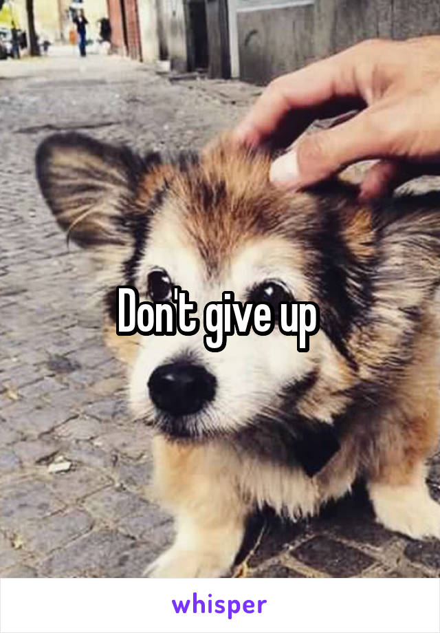 Don't give up 