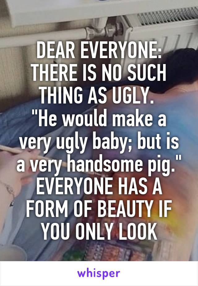 DEAR EVERYONE:
THERE IS NO SUCH THING AS UGLY. 
"He would make a very ugly baby; but is a very handsome pig."
EVERYONE HAS A FORM OF BEAUTY IF YOU ONLY LOOK