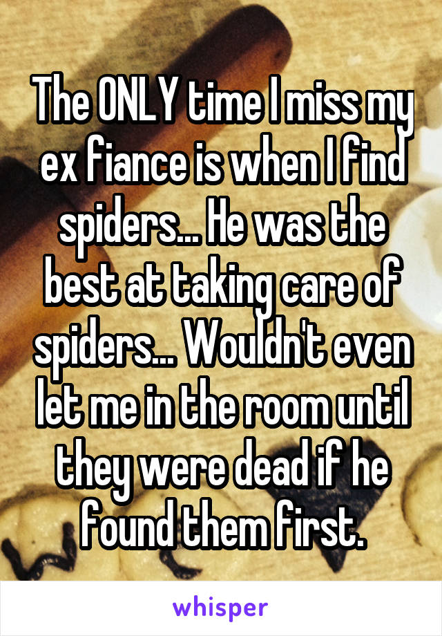 The ONLY time I miss my ex fiance is when I find spiders... He was the best at taking care of spiders... Wouldn't even let me in the room until they were dead if he found them first.