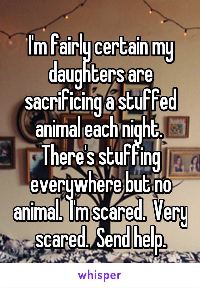 I'm fairly certain my daughters are sacrificing a stuffed animal each night.  There's stuffing everywhere but no animal.  I'm scared.  Very scared.  Send help.