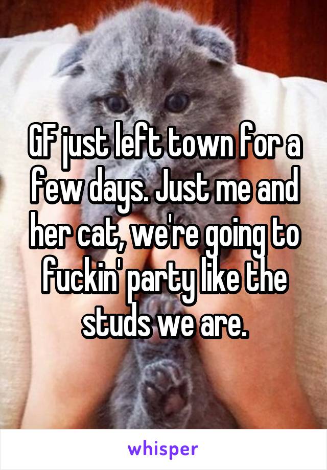 GF just left town for a few days. Just me and her cat, we're going to fuckin' party like the studs we are.