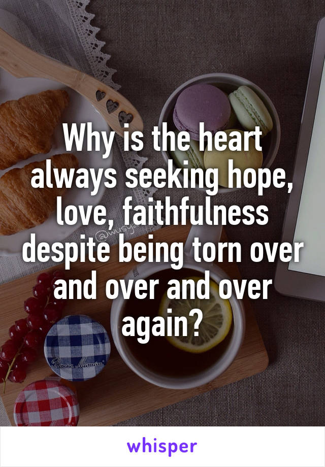 Why is the heart always seeking hope, love, faithfulness despite being torn over and over and over again?