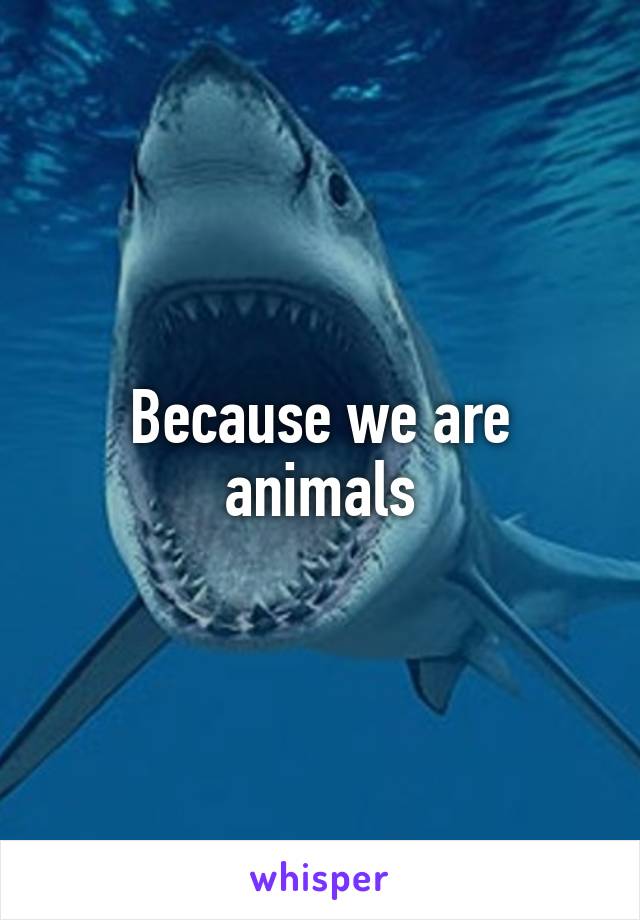 Because we are animals