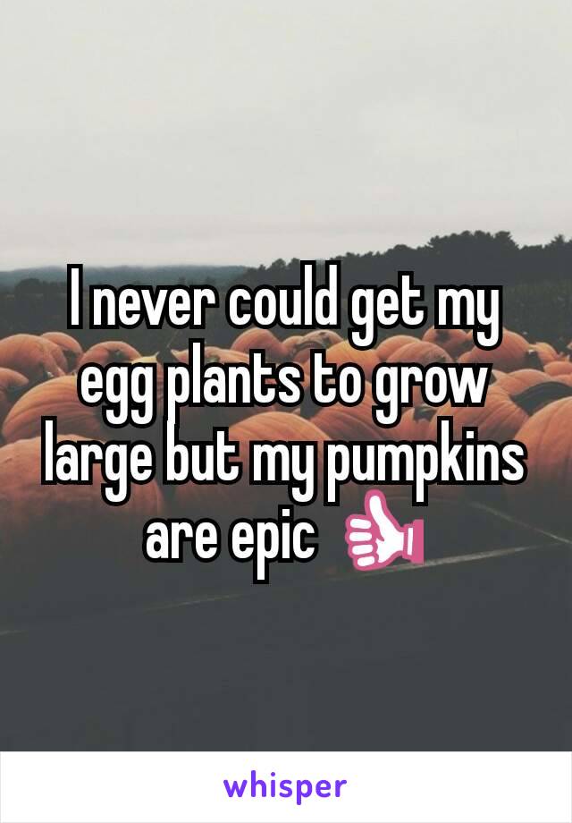 I never could get my egg plants to grow large but my pumpkins are epic 👍