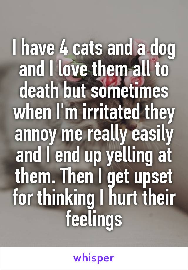 I have 4 cats and a dog and I love them all to death but sometimes when I'm irritated they annoy me really easily and I end up yelling at them. Then I get upset for thinking I hurt their feelings