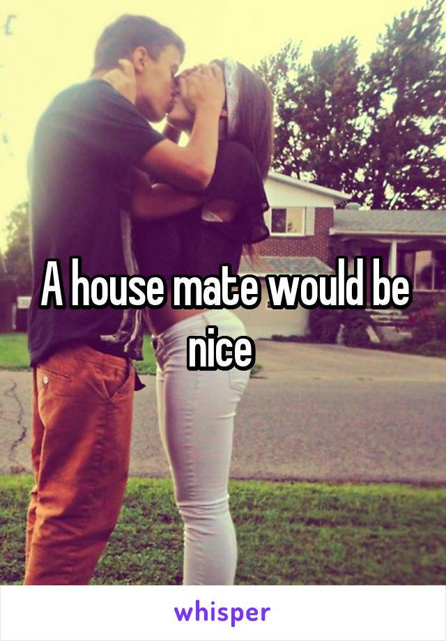 A house mate would be nice 