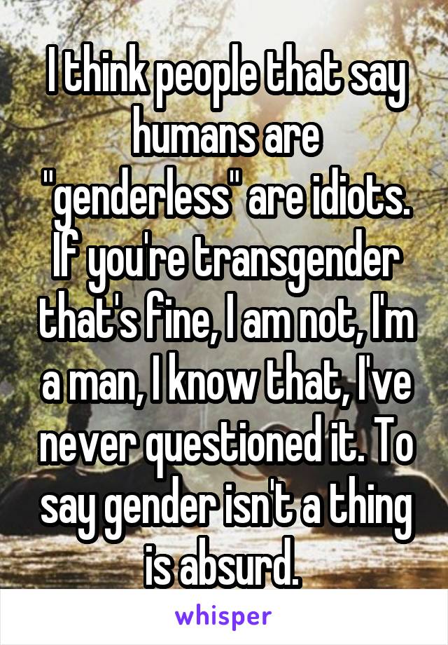 I think people that say humans are "genderless" are idiots. If you're transgender that's fine, I am not, I'm a man, I know that, I've never questioned it. To say gender isn't a thing is absurd. 